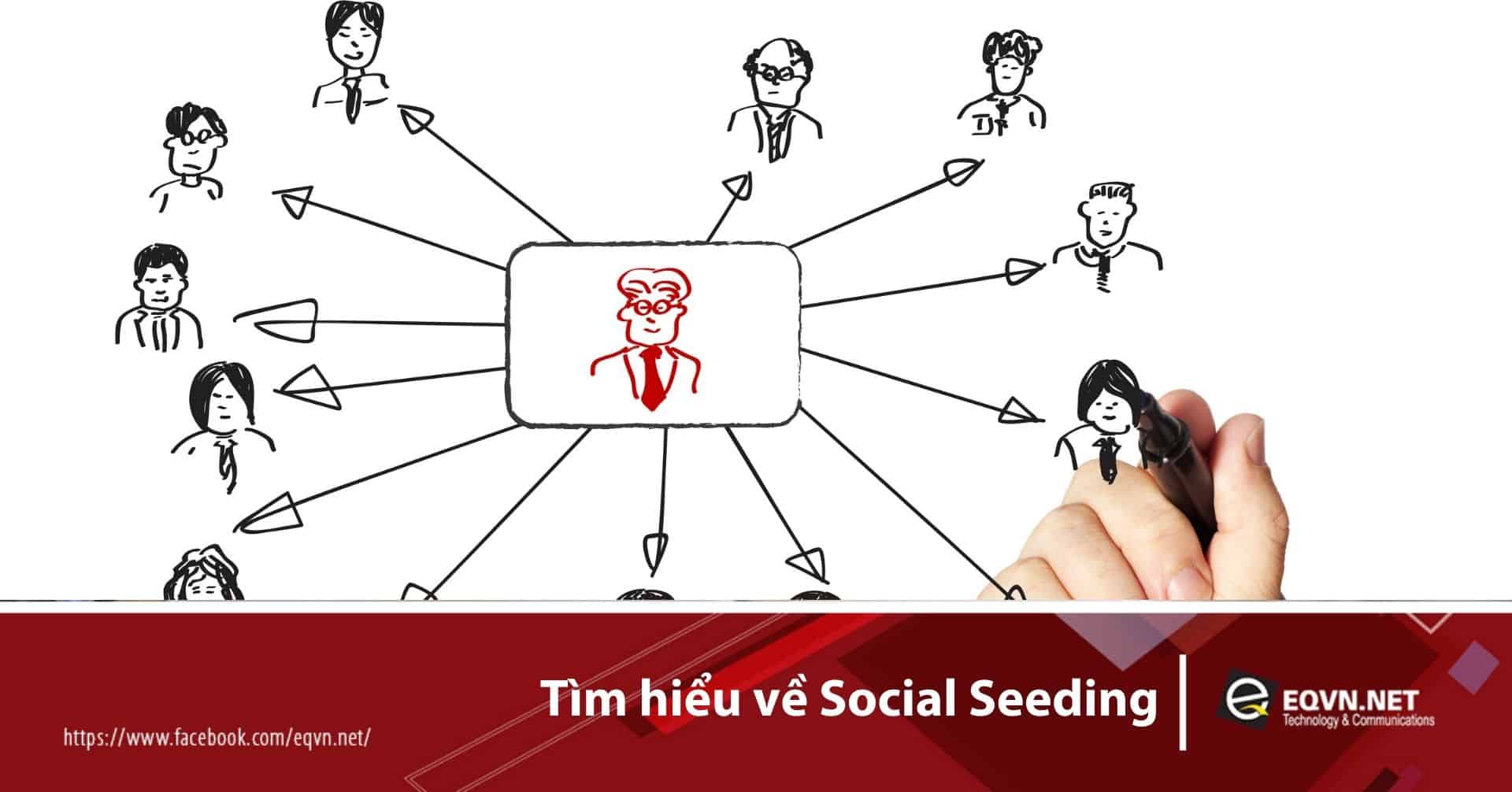 social seeding là gì