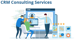 CRM consulting