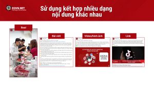 Kết hợp nhiều dạng nội dung khác nhau