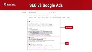 Nên chọn giải pháp nào