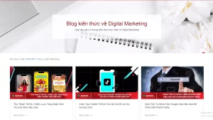 Blog và bài viết 