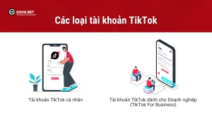 Các loại tài khoản TikTok