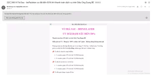 Email Khuyến Mãi (Promotional Emails)