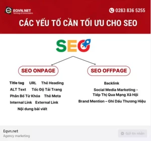 Infographic và hình ảnh 