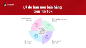 Lý do nên bán hàng trên TikTok