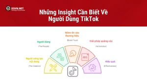 Những Insight Cần Biết Về Người Dùng TikTok