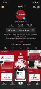 Tối ưu hóa hồ sơ TikTok