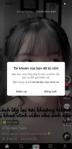 Danh Sách Những Từ Bị Cấm Trong TikTok 2024 5 Tài khoản bị cấm hoặc tạm ngưng