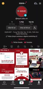 Tối ưu hồ sơ TikTok của bạn