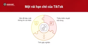 Một vài hạn chế của TikTok