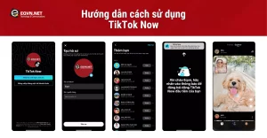 TikTok Now