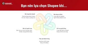 So sánh TikTok Shop và Shopee: Nền tảng kinh doanh nào phù hợp nhất? 7 Khi nào nên chọn Shopee?