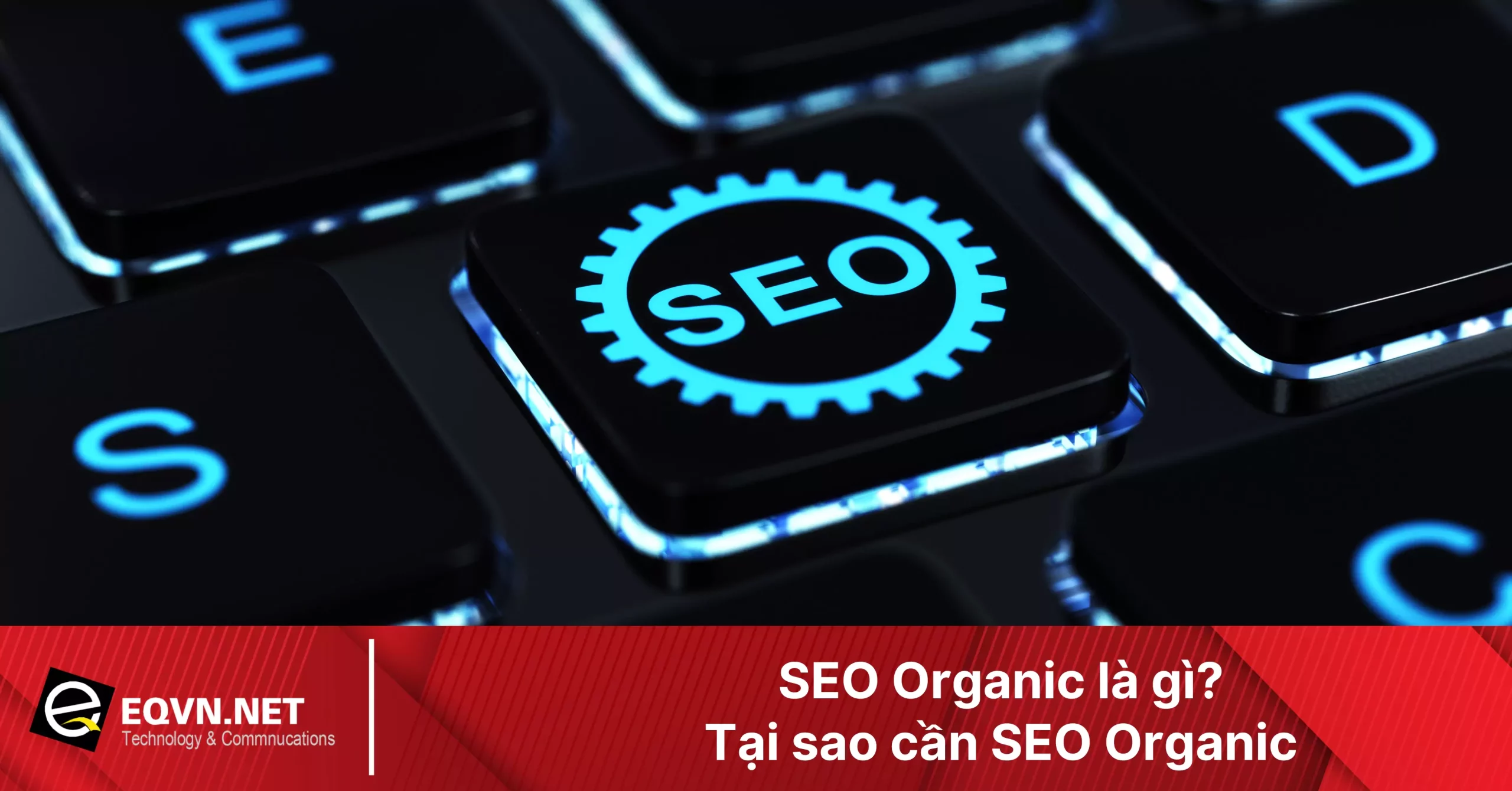 seo-organic