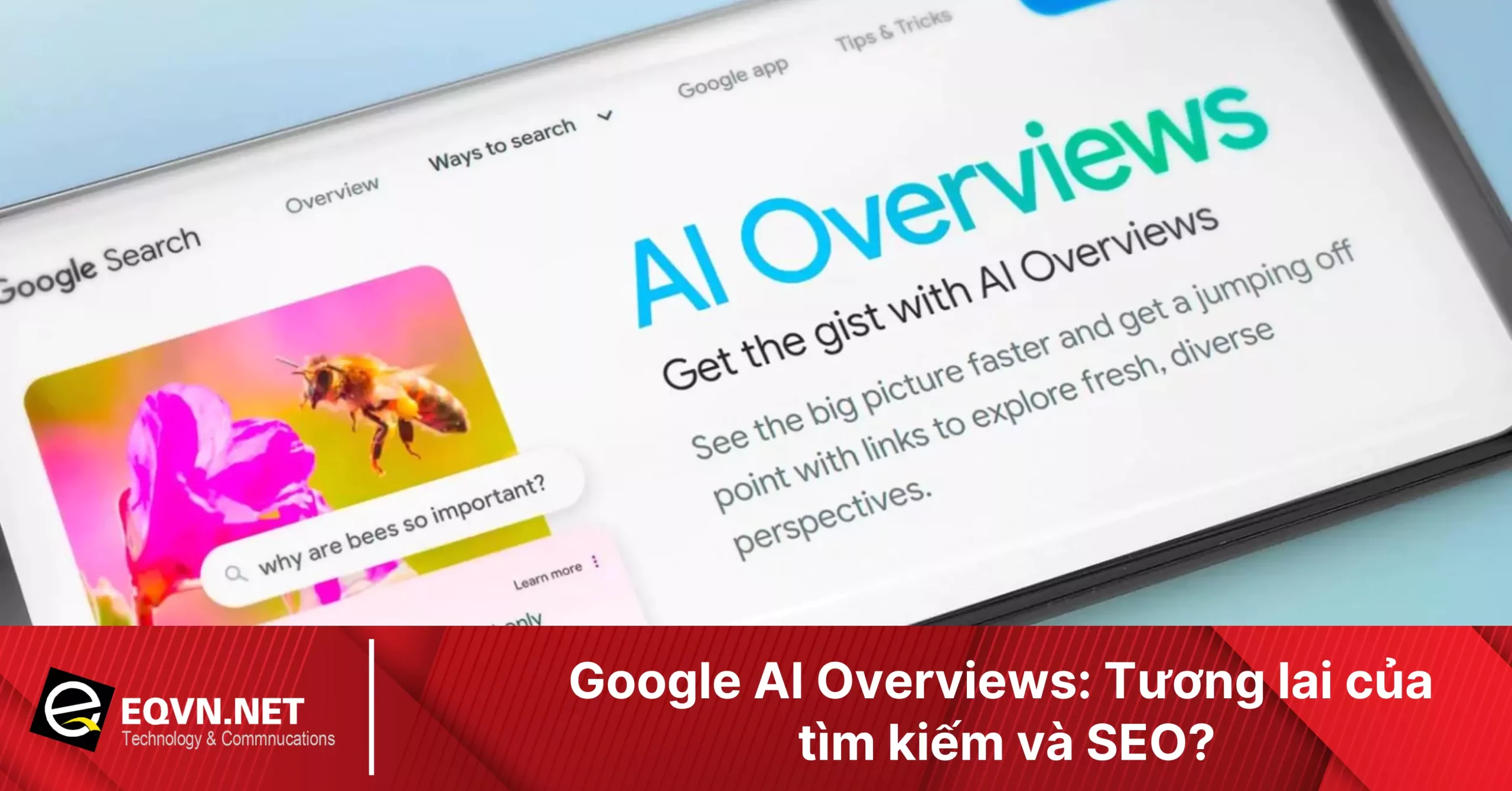 google-ai-overviews-67ebb552b11e1 google-ai-overviews