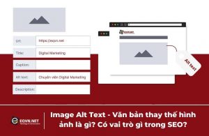 Image Alt Text - Văn bản thay thế hình ảnh là gì?